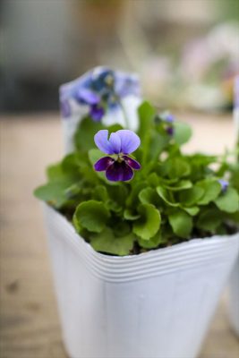 写真 2025-12-11 16 12 29_R_1