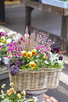 写真 2025-12-01 8 36 57_R_1