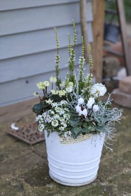 写真 2025-12-24 16 40 20_R_1