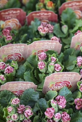 写真 2025-12-10 16 25 41_R_1