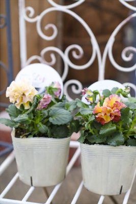 写真 2025-12-10 16 29 09_R_1