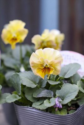 写真 2025-12-03 15 13 47_R_1