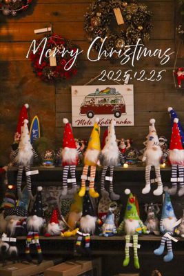 写真 2025-11-05 15 09 12_R_1 のコピー