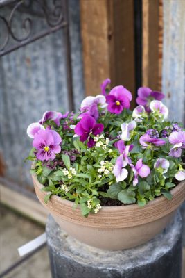 写真 2025-12-22 7 56 23_R_1