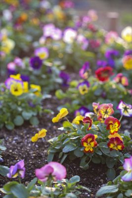 写真 2025-12-16 16 21 18_R_1