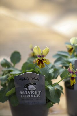 写真 2025-12-08 11 05 14_R_1