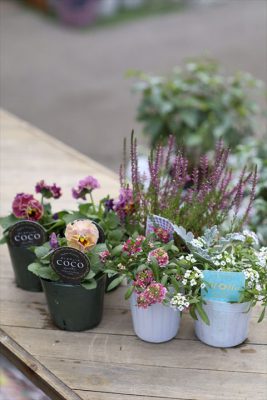 写真 2025-12-15 13 17 27_R_1