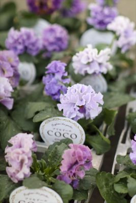 写真 2025-12-10 16 22 14_R_1