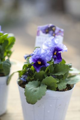 写真 2025-12-08 10 58 21_R_1