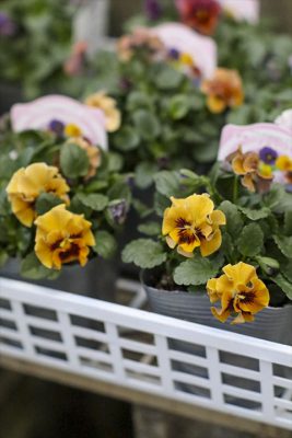 写真 2025-12-04 16 51 13_R_1