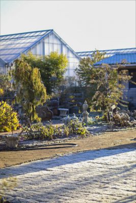 写真 2025-12-06 8 18 58_R_1