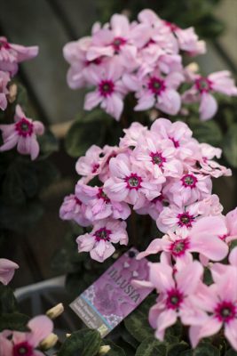 写真 2025-11-26 16 23 01_R_1