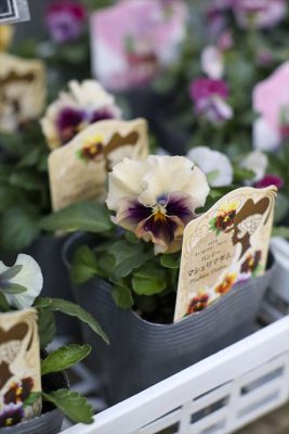 写真 2025-12-04 16 50 54_R_1