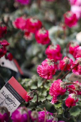 写真 2025-11-26 16 24 18_R_1