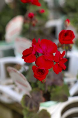 写真 2025-12-20 9 50 48_R_1