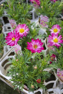 写真 2025-12-17 15 50 54_R_1