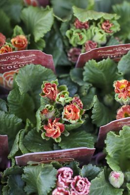 写真 2025-12-10 16 26 05_R_1