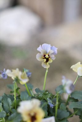 写真 2025-12-08 17 12 37_R_1