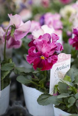 写真 2025-12-11 16 49 53_R_1