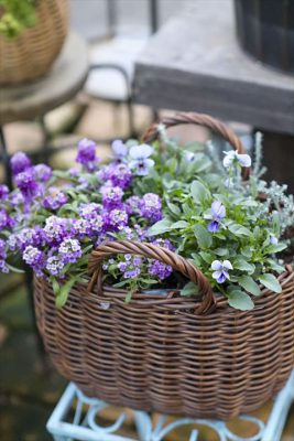 写真 2025-12-22 8 10 11_R_1