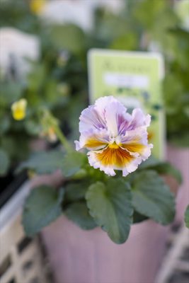 写真 2025-12-02 16 40 00_R_1