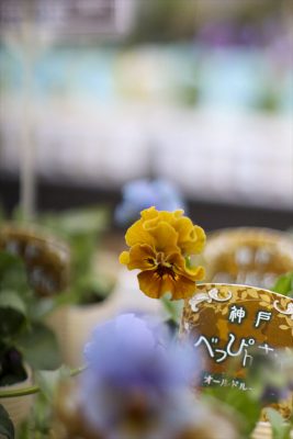 写真 2025-12-11 16 15 05_R_1