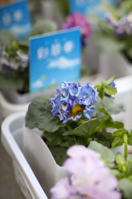 写真 2025-12-11 16 18 00_R_1