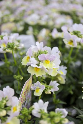 写真 2025-12-17 15 52 31_R_1