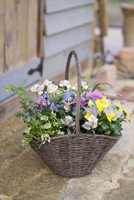 写真 2025-12-02 16 47 06_R_1