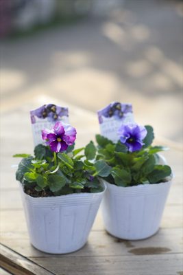 写真 2025-12-08 10 58 57_R_1