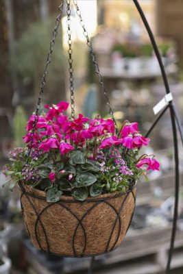 写真 2025-12-25 16 36 12_R_1