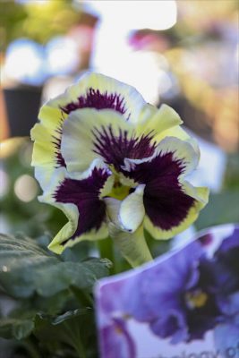 写真 2025-12-18 15 37 03_R_1