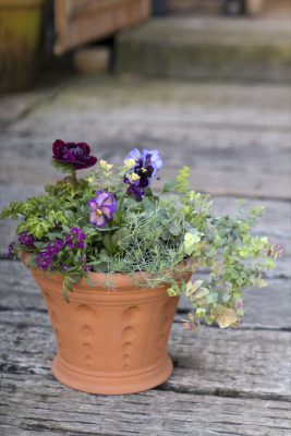 写真 2025-12-22 16 24 49_R_1