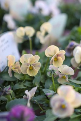 写真 2025-12-16 16 38 32_R_1