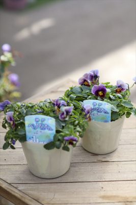 写真 2025-12-15 13 29 54_R_1