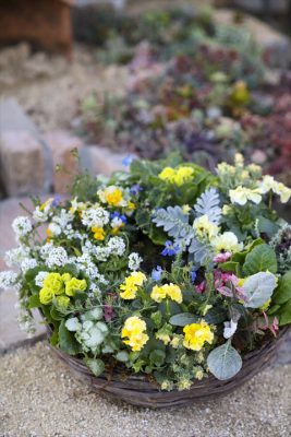 写真 2025-12-06 16 39 16_R_1