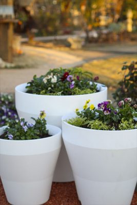 写真 2025-12-12 16 40 21_R_1