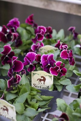 写真 2025-12-02 16 42 26_R_1