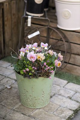 写真 2025-11-30 16 36 39_R_1