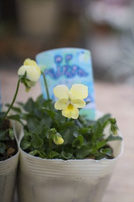 写真 2025-12-11 16 09 38_R_1