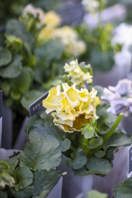 写真 2025-12-11 16 18 22_R_1