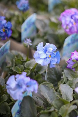 写真 2025-12-11 16 21 18_R_1