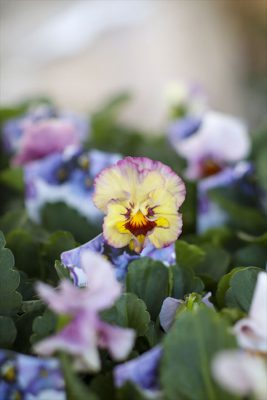 写真 2025-12-03 15 18 42_R_1