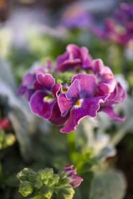 写真 2025-12-19 16 06 52_R_1