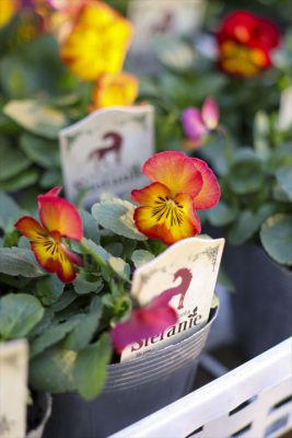 写真 2025-12-16 16 22 58_R_1