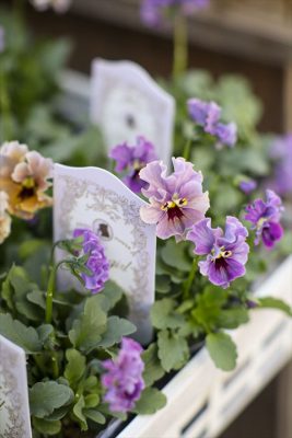 写真 2025-12-18 16 21 08_R_1