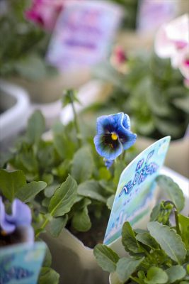 写真 2025-12-11 16 20 26_R_1