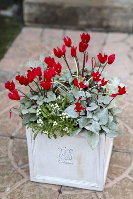 写真 2025-12-06 16 27 37_R_1