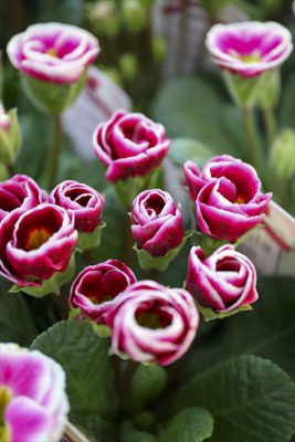 写真 2025-12-22 16 17 43_R_1