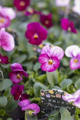 写真 2025-12-18 16 20 29_R_1